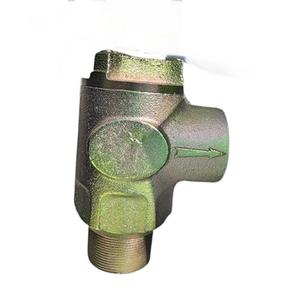 Valvola di ritegno da 2 pollici in stile francese - Product Image 3