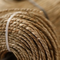 Quantité énorme de corde de Seagrass de brin simple direct d'usine disponible pour la production en série