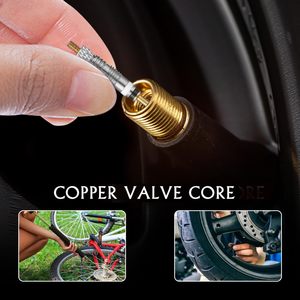 Valve tubeless en cuivre à embout français pour réparation et remplacement de pneus de vélo VT 002 en alliage de zinc argenté - Product Image 5