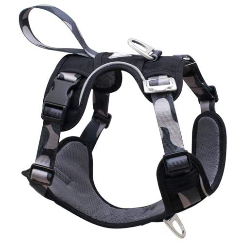 ลายพรางสีดำ