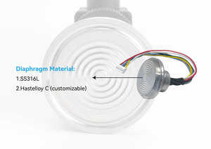 OEM 압전 게이지 압력/절대 압력 센서 SS316L/Hasteloy C 다이어프램 IP68 보호 0.1% FS 정확도 - Product Image 4