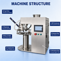 Machine de remplissage de bouteilles de petite taille, machine de remplissage automatique de bouteilles, ligne de production d'eau en bouteille de 100 ml à 500 ml, Dayilong