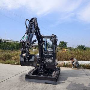 Micro Mini Escavatore a Spedizione Gratuita con Motore Diesel, Macchinario da Scavo ad Alta Potenza Bagger - Product Image 5