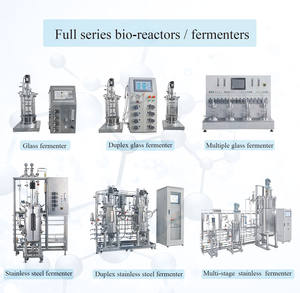 Fermentador Cónico de Vidrio para Laboratorio, Fermentador de Vidrio con <span class=keywords><strong>Espiga</strong></span>, Biorreactor de 10 l para Cultivo de Microorganismos, Levaduras y Hongos - Product Image 2