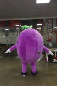Costume de mascotte gonflable <span class=keywords><strong>en</strong></span> forme de raisin violet pour les ventes <span class=keywords><strong>en</strong></span> <span class=keywords><strong>ligne</strong></span>, nouveau, costume de mascotte de fruits et légumes, costume de mascotte de dessin animé, poupée d'action - Product Image 2