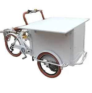 OEM Outdoor Mobile Double Folding Tricycle Family Use Environment-friendly BBQ Bike for Sale Snacks