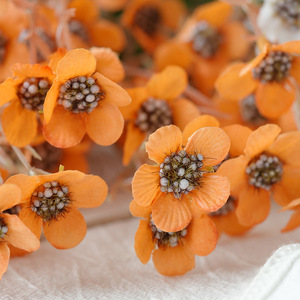 <b>Artificial</b> Daisy <b>Bouquet</b> Silk Flower Champagne White Orange Pink Home Decoration Wedding Photo Prop Spring Outdoor Use - Product Image 4