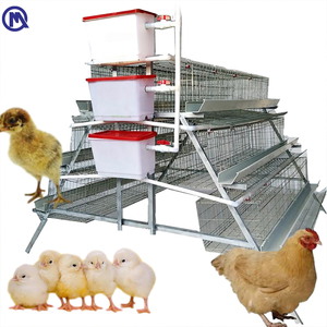 Cages pliables en métal pour volailles, cages de présentation pour coqs de combat, cages à poulets personnalisées et économiques - Product Image 1