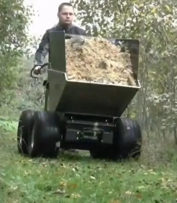 Tracteur agricole mini benne à basculer électrique, pneus compact de 300kg, pour la construction de route, bon marché, 2 pièces