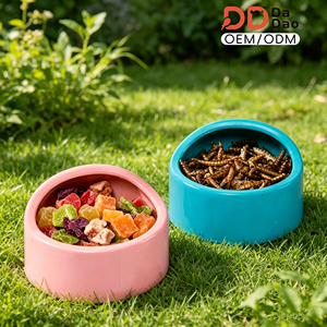 Bol alimentaire en plastique épais et arrondi, double usage, pour hamsters, pour stocker les fruits secs et les insectes - Product Image 1