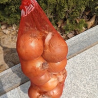 Sac de maille mono d'oignon d'ail de pomme de terre de couleur rouge sacs de maille de bonne qualité