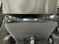 Machine d'emballage entièrement automatique haute productivité pour chips, thé, riz, jus, en acier inoxydable, pour sachets, cartons et étiquetage papier