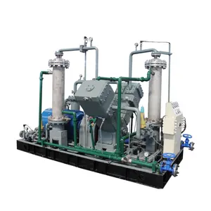 100% Olievrije Biogas Compressor Prijs 4X4 12V 5 Voltage Tot 12Volt Ch4 Luchtcompressor Heavy Duty Met Tank