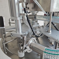 Petite machine automatique de remplissage et de capsulage d'emballage de tomates à presser Machine de remplissage et de capsulage de liquide de détergent à lessive