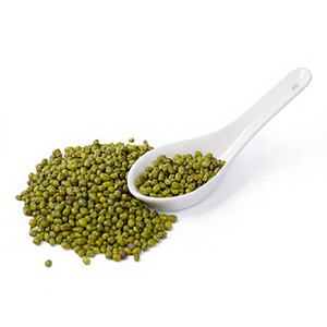 Naturally Grown Indian Green Moong <b>Beans</b> New Harvest Premium Quality Whole Pulses 24 Months Shelf Life Bulk for International - Product Image 1
