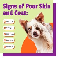 OEM/ODM suplemen hewan peliharaan Natural-minyak Salmon untuk kulit anjing & mantel: kulit gatal kering menghilangkan dengan Vitamin E & minyak biji Flax