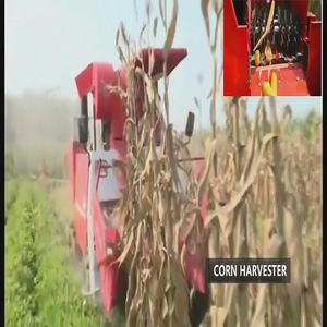 New Farm Used Automatic <b>Corn</b> <b>Harvester</b> Combine Maize Harvesting Machine Cosechadora De Maiz Mini <b>Corn</b> <b>Harvester</b> With Tractor 2 R - Product Image 4