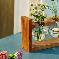 Décoration intérieure pour la maison, station de propagation de plantes aériennes en verre, pot hydroponique, vase à bulbes de fleurs, écologique