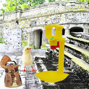 เครื่องป้อนกระทะพลาสติกอัตโนมัติสําหรับไก่เลี้ยงฟรีสภาพใหม่ราคาโรงงานออกแบบฟาร์มสัตว์ปีกเพื่อขาย - Product Image 6