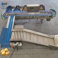 Precisie sorteermachine voor aardappelen, fruit en groenten voor werkplaatsen, met lift en PLC-besturingssysteem