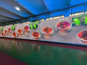 Écran vidéo LED d'intérieur P2, panneau 640×480 mm pour la publicité, l'animation et la présentation visuelle - Product Image 5