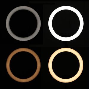 Ring Light 18 Inch Slim Lightweight Beauty Light Cool Warm Dual Color Portable Photography Live Streaming Equipment - Product Image 3