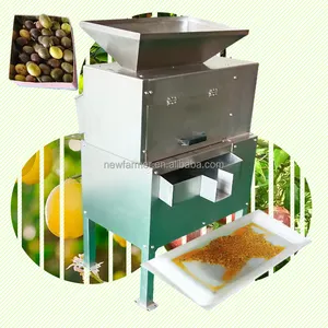 Berry fruit mango pulping machine nectarine avocado pulper beating machine vegetable tomato carrot pulp juice making machine