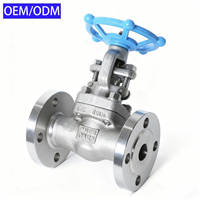 Vanne à opercule manuelle forgée en acier au carbone ANSI A105/304/316/CF8 CL150/300/600/900/1500 LB API6D à brides pour eau, gaz et huile