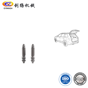 เพลาเกียร์หนอนคู่สำหรับยานยนต์ S45C 40Cr ISO1328 ระดับ 7 DIN3974 ระดับ 8 หนอนเกียร์รองสำหรับระบบขับเคลื่อนรถยนต์ - Product Image 2