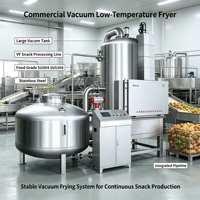 Friteuse à basse température REALDOT pour usage commercial, machine à frire les fruits et légumes pour la production de snacks