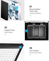 Goth — congélateur professionnel personnalisé, 150l, casiers de frigidaire, fabrication d'appareil photo, accessoire de réfrigération