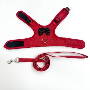 Arnés y Correa para Conejo Ajustable, Personalizado, de Lujo, Transpirable y de Buena Calidad - Product Image 4