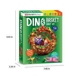 Usine En Gros Din Panier Artisanat Kit Nouveau Design Science Kit Expériences DIY STEM Outils Scientifiques Éducatifs Enfants Apprentissage - Product Image 2