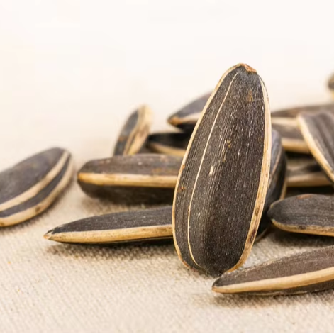 European Quality ISO Certified Dried Sunflower