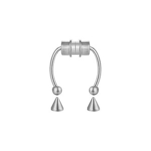 Anneau de nez magnétique en acier inoxydable, design à pointe, sans perçage, clip de nez, bijoux à usage quotidien, argent, noir, arc-en-ciel, or, or rose, bleu - Product Image 5