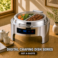 Elektrischer Chafing Dish Buffet-Wärmer aus Edelstahl mit Temperaturregelung und Gehärtetem Glasdeckel für Catering, Einzel- und Doppelversion