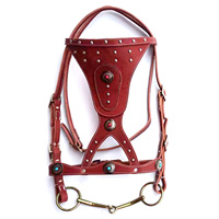 Endurance Équitation Bride Endurance Cheval Rouge Bride En Cuir Haute Qualité Premium Rub International