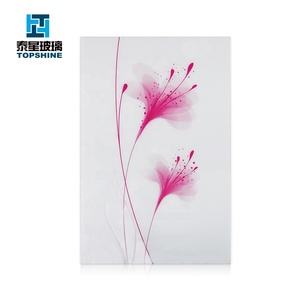 Pannello in vetro serigrafato temperato per frigorifero - Product Image 5