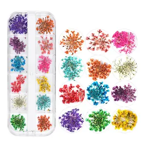 Hot Spring 10 Style 3D Mix Dry Dried Flowers Nail Box For Nails Art