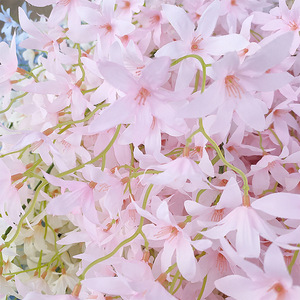Fleurs artificielles en soie d'orchidée dansante, 30cm-100cm, rose clair et blanc, pour décorations de maison et de mariage - Product Image 1