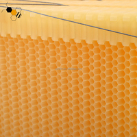 Kunststoff Waben bienenstock Kamm Auto Flowing Honeycomb Bee Hive Rahmen mit Werkzeugen