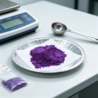Poudre de Pigment Organique Violet Vif Haute Concentration Bonne Dispersibilité pour Masterbatch Plastique Encre Revêtement Colorant