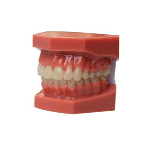 Modèles de démonstration de malocclusion dentaire en PVC pour la pratique orthodontique, moules d'enseignement avec attaches de brackets - Product Image 4