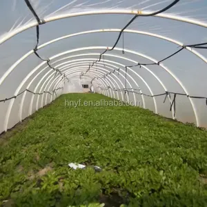 Vente en gros film pour serre sans goutte serre transparent à vendre film plastique pour la plantation de fraises