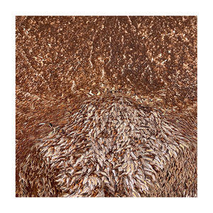 Căng Lưới Xoài Lõm Sequins Thêu Vải Thời Trang Womens Dresses Áo Túi Mũ Chắp Vá Chất Liệu - Product Image 1