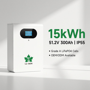 Batteria LiFePO4 per Accumulo Energetico Domestico, 51.2V 130Ah 6.6Kwh, 300Ah 15Kwh, 16S BMS, 48V 30Kwh, 48V 600Ah, Disponibile in UE - Product Image 1