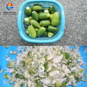 เครื่องคั้นน้ำมะนาวอุตสาหกรรม 0.5 ตัน/1.5 ตัน/2.5 ตัน/3.5 ตัน - Product Image 3