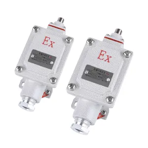 IP66 Adjustable Roller Lever Type Travel Limit Switches Explosion Prof Travel Switch