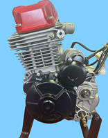 Moteur de moto Zongshen pour dirt bike, ATV, UTV, kart, quad, 230cc, 300cc, 2WD, 4WD, chaîne électrique