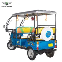 Factory Supply Three Wheeler Bajaj 48v DC Motor Adult Auto Rickshaw Closed Electric Tricycle